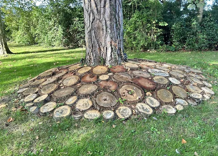 Chateau Du Beugnon לינה וארוחת בוקר